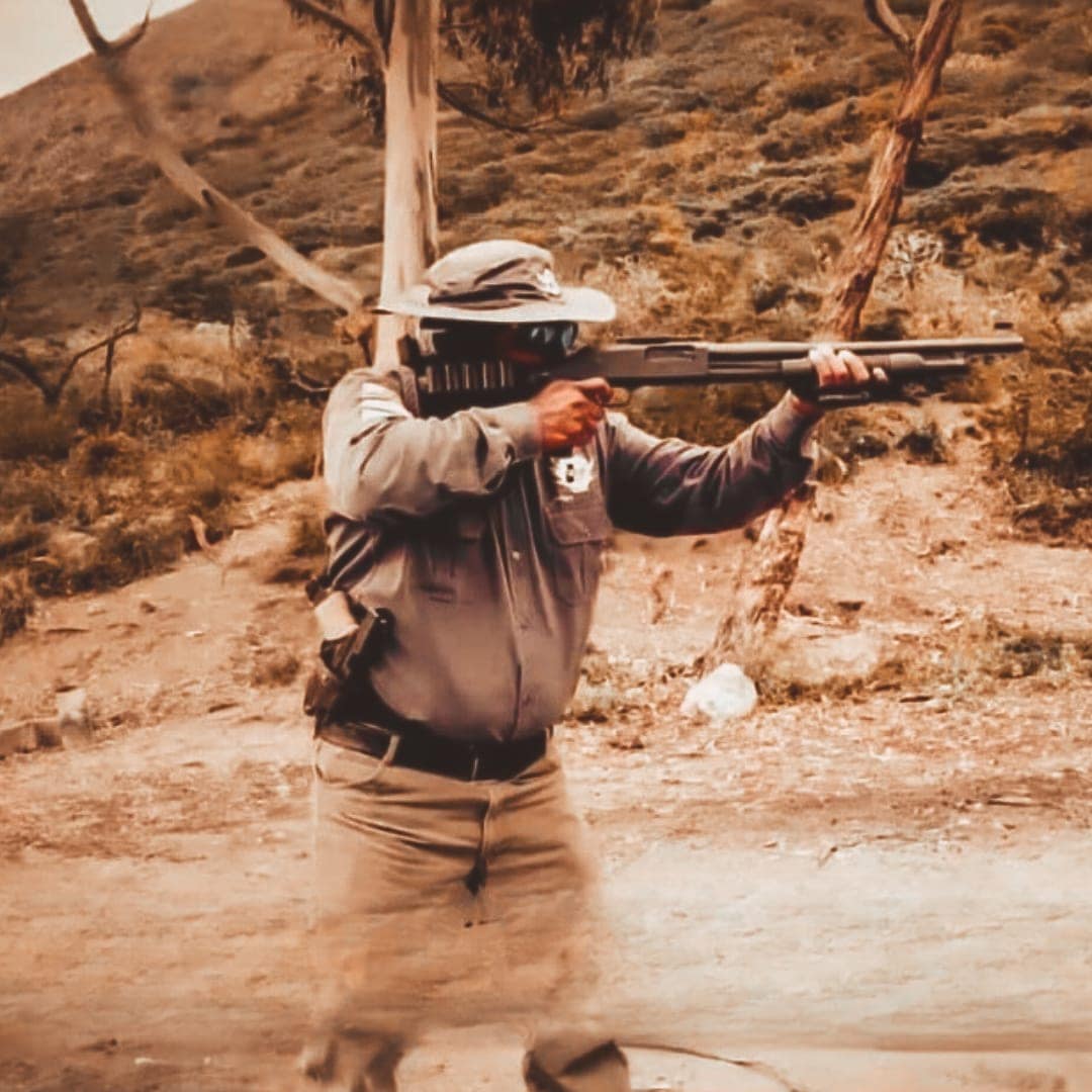 Seguridad, Esfoguar & insideelectronic