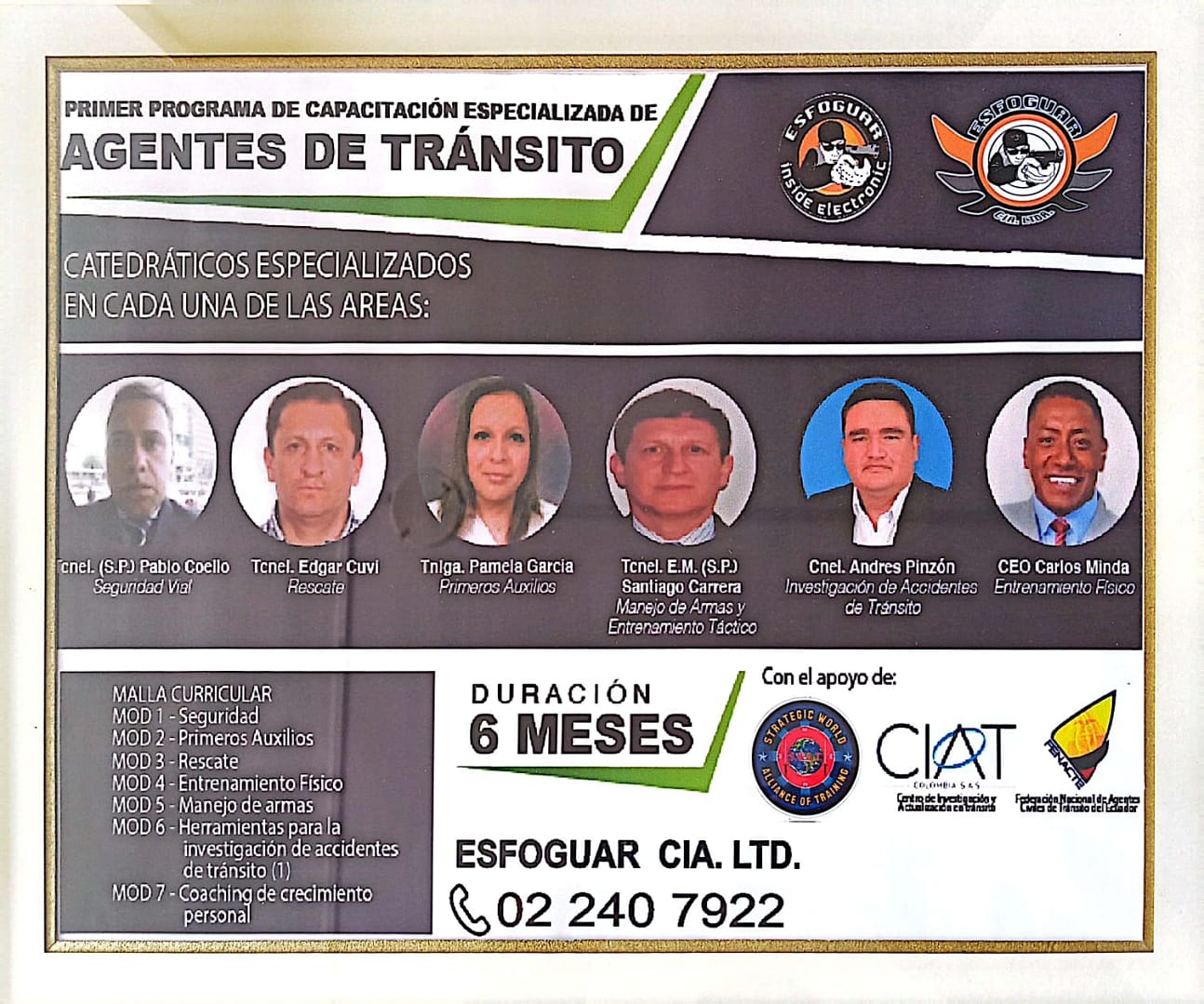 Seguridad Esfoguar & insideelectronic