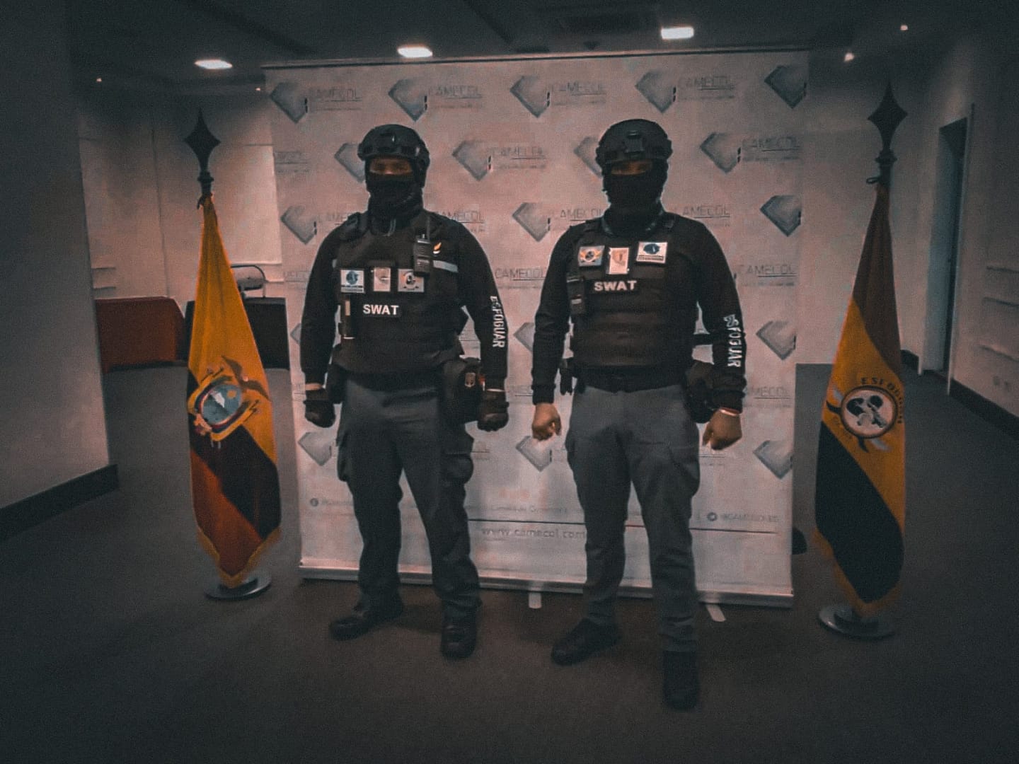 Seguridad Esfoguar & insideelectronic