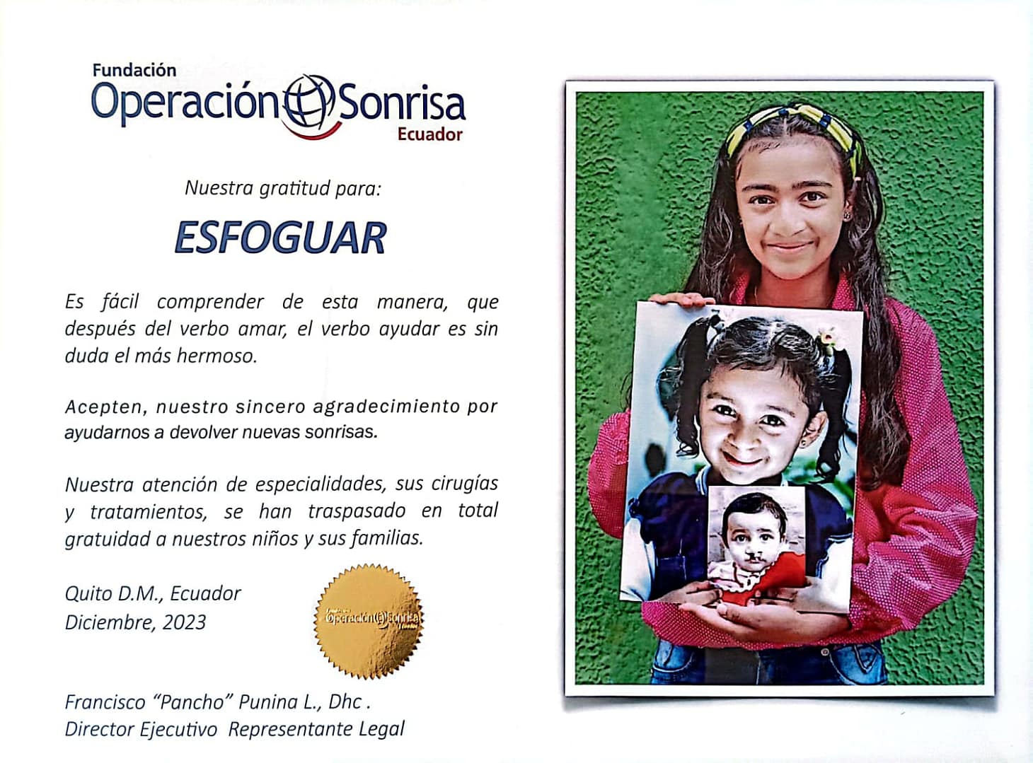 Seguridad Esfoguar & insideelectronic