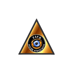 Seguridad Esfoguar & insideelectronic