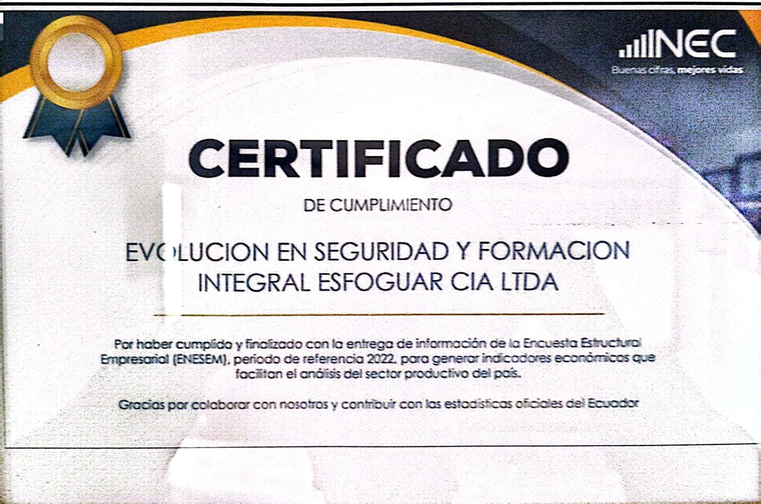 Seguridad Esfoguar & insideelectronic