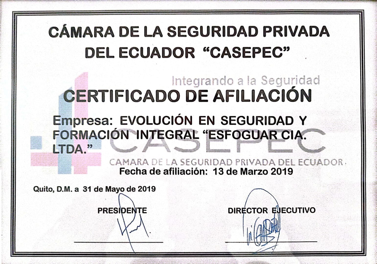 Seguridad Esfoguar & insideelectronic