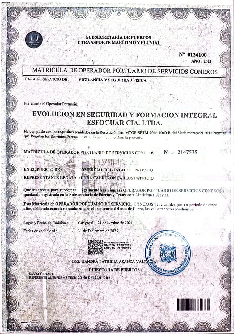 Seguridad Esfoguar & insideelectronic