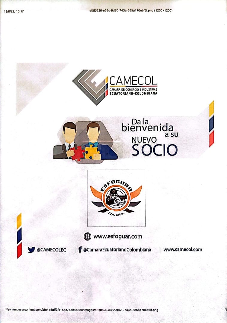 Seguridad Esfoguar & insideelectronic